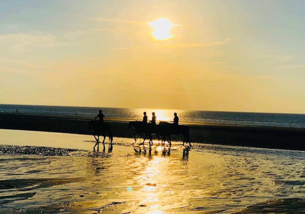 Le Camaieu Deauville Exteriér fotografie
